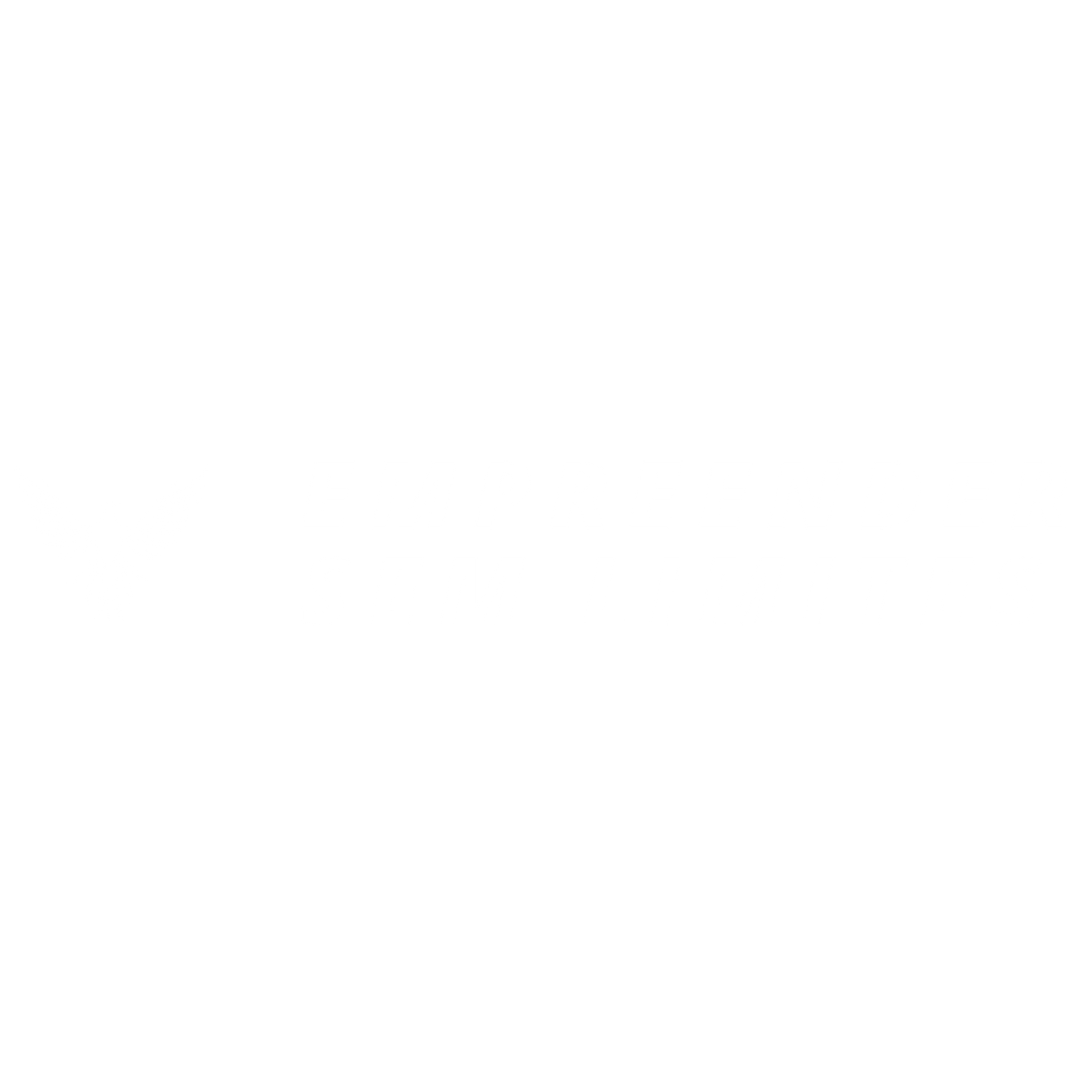 logo (11)