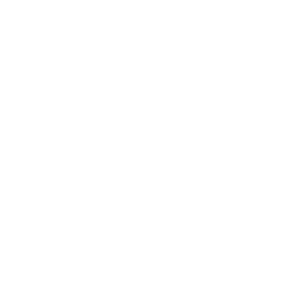 logo (13)