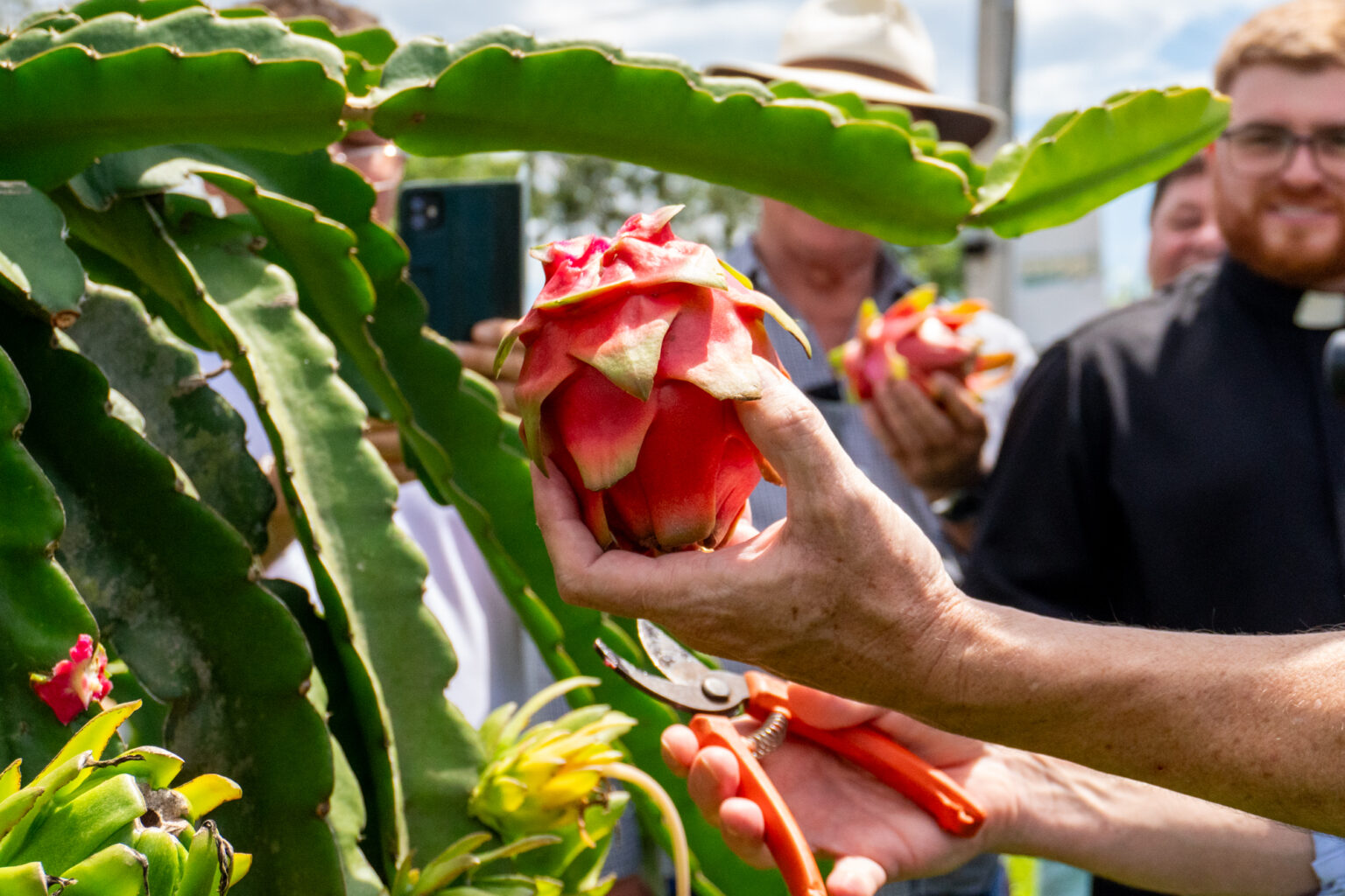 Caroba Produções (109)